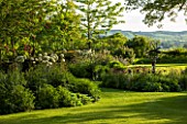 THE OLD VICARAGE, WORMLEIGHTON, WARWICKSHIRE: DESIGNER ANGEL COLLINS - LAWN WITH BORDERS PLANTED WITH ALLIUM MOUNT EVEREST, SUNDIAL