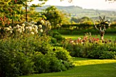 THE OLD VICARAGE, WORMLEIGHTON, WARWICKSHIRE: DESIGNER ANGEL COLLINS - VIEW OF LAWN AND SUNDIAL BED WITH BORDER WITH ALLIUM MOUNT EVEREST, EVENING LIGHT, CLASSIC COUNTRY GARDEN