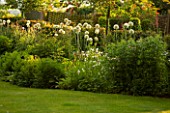 THE OLD VICARAGE, WORMLEIGHTON, WARWICKSHIRE: DESIGNER ANGEL COLLINS - VIEW OF LAWN AND BORDER WITH ALLIUM MOUNT EVEREST, EVENING LIGHT, CLASSIC COUNTRY GARDEN