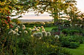 THE OLD VICARAGE, WORMLEIGHTON, WARWICKSHIRE: DESIGNER ANGEL COLLINS - VIEW OF LAWN AND BORDER WITH ALLIUM MOUNT EVEREST. EVENING LIGHT, CLASSIC COUNTRY GARDEN
