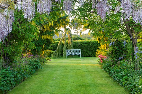 THE_MANOR_HOUSE_STEVINGTON_BEDFORDSHIRE_THE_LABURNUM_ARCH_AND_WISTERIA_ARCH_AT_DAWN