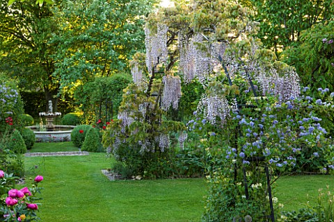 THE_MANOR_HOUSE_STEVINGTON_BEDFORDSHIRE_THE_WISTERIA_ARCH_AT_DAWN_WITH_FOUNTAIN_BEYOND