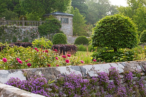 HADDON_HALL_DERBYSHIRE_ROSES_BESIDE_A_WALL_ON_THE_LOWER_GARDEN_WITH_VIEWS_OF_THE_UPPER_GARDEN_TERRAC