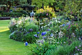 ABLINGTON MANOR  GLOUCESTERSHIRE: LAWN AND BORDER WITH IRISES AND ROSES - HERBACEOUS  FLOWERS  CLASSIC COUNTRY GARDEN  ROMANCE  ROMANTIC  SUMMER  JUNE