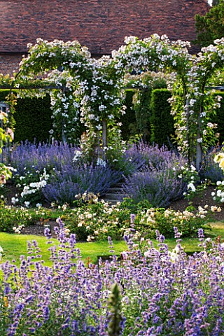 GREAT_FOSTERS_SURREY_THE_ROSE_GARDEN_IN_JUNE_FOUNTAIN_CATMINT__NEPETA_FAASSENII_ARBOUR_POOL_POND_STA