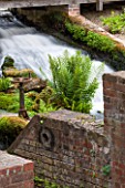 OLD NETLEY MILL, SHERE, SURREY: FERN GROWING RIGHT BESIDE THE WEIR - WATER, STREAM