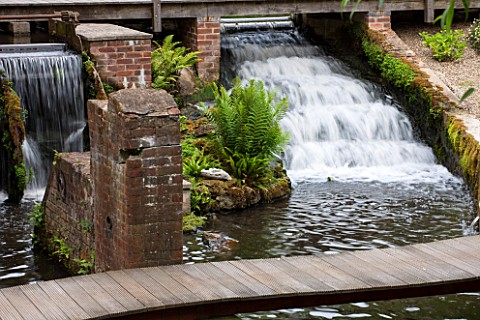 OLD_NETLEY_MILL_SHERE_SURREY_FERN_GROWING_RIGHT_BESIDE_THE_WEIR__WATER_STREAM