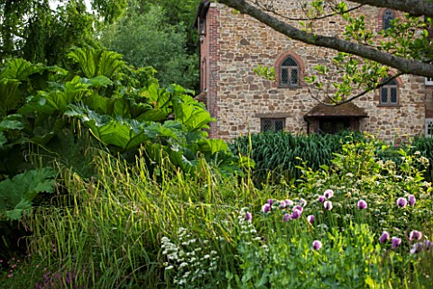 OLD_NETLEY_MILL_SHERE_SURREY_THE_MILL_WITH_PLANTING_OF_GUNNERA_MANICATA__GIANT_RHUBARB_AND_SHIRLEY_P