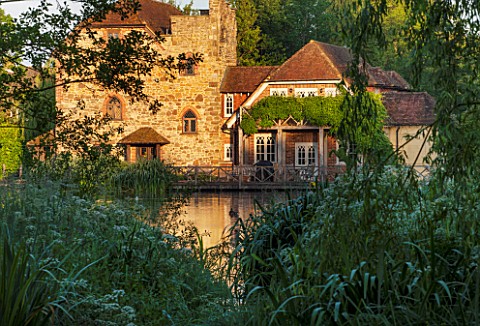 OLD_NETLEY_MILL_SHERE_SURREY_NETLEY_OLD_MILL_SEEN_FROM_ACROSS_THE_LAKE__EARLY_MORNING_LIGHT__SUMMER_
