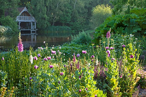 OLD_NETLEY_MILL_SHERE_SURREY_POPPIES_AND_FOXGLOVES_GROWING_BESIDE_THE_LAKE_WITH_WOODEN_BOAT_HOUSE_IN