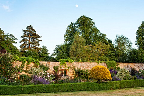 BROUGHTON_CASTLE_OXFORDSHIRE_BORDER_BESIDE_THE_WALLED_GARDEN_WITH_ROSES_AND_NEPETA_FLOWERS_SUMMER_JU