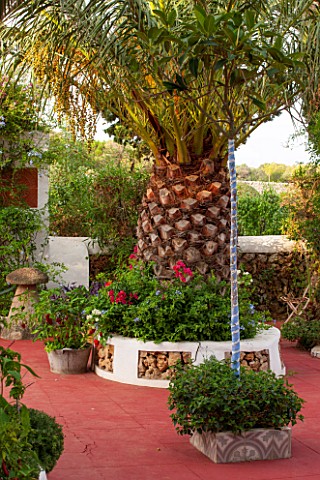 JONATHAN_BAILLIE_GARDEN_ALAIOR_MENORCA_RAISED_BED_ON_PATIO_WITH_PALM_TREE_RED_FLOOR__TREE_PAINTED_WI