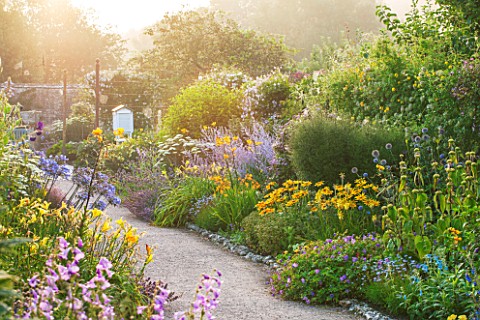 WEST_DEAN_GARDENS_WEST_SUSSEX_LATE_SUMMER_BORDERS_PLANTED_WIN_YELLOW_AND_BLUE__PATH_TO_SUNDIAL__HERB