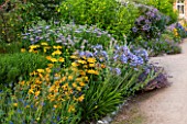 WEST DEAN GARDENS, WEST SUSSEX: LATE SUMMER BORDERS PLANTED WIN YELLOW AND BLUE - PATH TO SUNDIAL - HERBACEOUS BORDER, FLOWERBEDS, FLOWER, BED. RUDBECKIA, AGAPANTHUS, ASTER