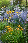 WEST DEAN GARDENS, WEST SUSSEX: LATE SUMMER BORDERS PLANTED IN YELLOW AND BLUE - PATH TO SUNDIAL - HERBACEOUS BORDER, FLOWERBEDS, FLOWER, BED. HEMEROCALLIS, CROCOSMIA, PEROVSKIA