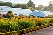 WEST DEAN GARDENS, WEST SUSSEX: MARIGOLDS GROWING IN RAISED BED BESIDE THE GLASSHOUSES