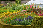 WEST DEAN GARDENS, WEST SUSSEX: ANNUAL;S AND PERENNIALS IN THE CUTTING GARDEN IN AUGUST WITH GREENHOUSE / GLASSHOUSE BEHIND. WALLED GARDEN, SUMMER, FLOWERS, FLOWERING, BORDER