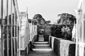 WEST DEAN GARDENS, WEST SUSSEX: BLACK AND WHITE IMAGE OF GLASSHOUSES / GREENHOUSES IN THE WALLED KITCHEN GARDEN. AUGUST