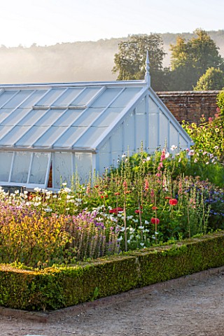WEST_DEAN_GARDENS_WEST_SUSSEX_ANNUALS_IN_THE_CUTTING_GARDEN_WITH_GLASSHOUSE__GREENHOUSE_IN_THE_WALLE