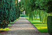 LAMPORT HALL, NORTHAMPTONSHIRE: VIEW ALONG GRAVEL PATH WITH WILLOW TREE AND STATUE -  THE EAGLE WALK - A ROW OF IRISH YEWS. FORMAL, HISTORIC, FOCAL POINT, CLASSIC COUNTRY GARDEN