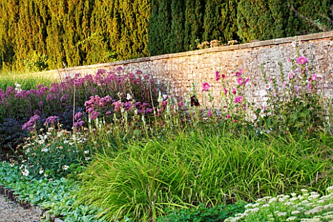 LAMPORT_HALL_NORTHAMPTONSHIRE_PERENNIAL_PLANTING_IN_THE_WALLED_CUTTING_GARDEN__HOLLYHOCKS_AND_JOE_PY