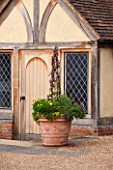 GREAT FOSTERS. SURREY:  TERRACOTTA CONTAINER IN THE COURTYARD PLANTED WITH RHODOCHITON ATROSANGUINEUS, PURPLE, VEIN, POT, ANNUAL, CLIMBER, CLIMBING, ANNUAL