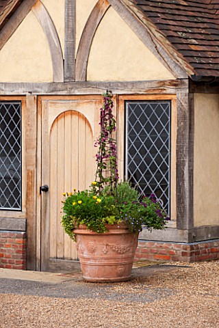 GREAT_FOSTERS_SURREY__TERRACOTTA_CONTAINER_IN_THE_COURTYARD_PLANTED_WITH_RHODOCHITON_ATROSANGUINEUS_