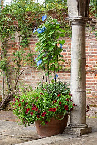 GREAT_FOSTERS_SURREY__TERRACOTTA_CONTAINER_ON_TERRACE_BESIDE_SUMMERHOUSE_PLANTED_WITH_RED_PETUNIAS_A