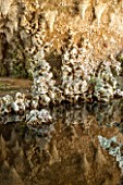 PAINSHILL PARK, SURREY: THE CRYSTAL GROTTO - THE GROTTO WITH REFLECTIONS IN WATER - CLASSIC, OOLITIC LIMESTONE, MYSTERY, LANDSCAPE GARDEN, ORNAMENT