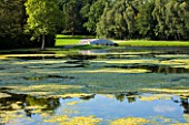 PAINSHILL PARK, SURREY: VIEW ACROSS THE LAKE TO THE FIVE ARCHED BRIDGE - LANDSCAPE GARDEN, ORNAMENT. LAKE, GRASS, TREES