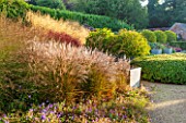 SURREY GARDEN DESIGNED BY ANTHONY PAUL: GRASS GARDEN WITH MISCANTHUS SINENSIS SILBERFEDER WITH WOODEN CONTAINERS PLANTED WITH PRUNUS LUSITANICA MYRTIFOLIA STANDARDS