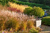 SURREY GARDEN DESIGNED BY ANTHONY PAUL: GRASS GARDEN WITH MISCANTHUS SINENSIS SILBERFEDER WITH WOODEN CONTAINERS PLANTED WITH PRUNUS LUSITANICA MYRTIFOLIA STANDARDS