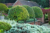 SURREY GARDEN DESIGNED BY ANTHONY PAUL: THREE CLIPPED TOPIARY PORTUGAL LAUREL - PRUNUS LUSITANICA MYRTIFOLIA, AS STANDARDS -  COUNTRY GARDEN, SUMMER