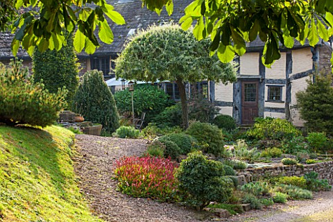THE_LYNDALLS_HEREFORDSHIRE_FRONT_OF_HOUSE_WITH_GRAVEL_PATH__SEPTEMBER_CLASSIC_COUNTRY_GARDEN