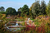 ELLICAR GARDENS, YORKSHIRE - DESIGNER SARAH MURCH - NATURAL SWIMMING POOL / POND IN AUTUMN. OCTOBER - VIEW ACROSS DECKING WITH DECKCHAIRS AND WOODEN BENCH - GRASSES