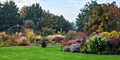 ELLICAR GARDENS, YORKSHIRE - DESIGNER SARAH MURCH -AUTUMN BORDERS BESIDE LAWN WITH RUSTIC ASH AND HAZEL GAZEBO - PERSICARIA, ASTERS AND GRASSES - OCTOBER, COUNTRY GARDEN