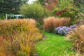 ELLICAR GARDENS, YORKSHIRE - DESIGNER SARAH MURCH - VIEW ALONG PATH WITH CYPERUS LONGUS, ASTER LITTLE CARLOW AND MISCANTHUS KARL FOERSTER - AUTUMN, OCTOBER, COUNTRY GARDEN