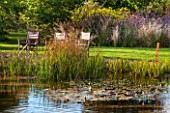 ELLICAR GARDENS, NOTTINGHAMSHIRE: NATURAL SWIMMING POOL / POND - VIEW ACROSS WATER WITH WATERLILIES TO CHAIRS ON LAWN AND BORDER. OCTOBER, AUTUMN, COUNTRY GARDEN