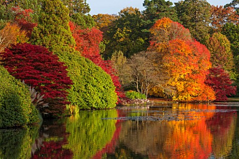 THE_NATIONAL_TRUST__SHEFFIELD_PARK_SUSSEX__IN_AUTUMN_OCTOBER_FALL_VIEW_ACROSS_THE_LAKE_TO_AUTUMN_COL