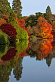 THE NATIONAL TRUST - SHEFFIELD PARK, SUSSEX,  IN AUTUMN. OCTOBER, FALL, VIEW ACROSS THE LAKE TO AUTUMN COLOUR TREES AND REFLECTIONS IN WATER - POND, LAKE,