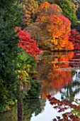 THE NATIONAL TRUST - SHEFFIELD PARK, SUSSEX,  IN AUTUMN. OCTOBER, FALL, VIEW ACROSS THE LAKE TO AUTUMN COLOUR TREES AND REFLECTIONS IN WATER - POND, LAKE,