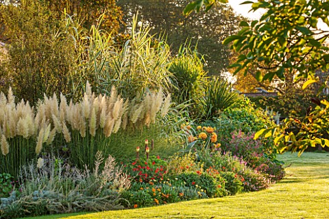 HOLE_PARK_KENT_TROPICAL_EXOTIC_BORDER_BESIDE_HOUSE_WITH_PAMPAS_GRASS__CORTADERIA_PUMILA_ARUNDO_DONAX