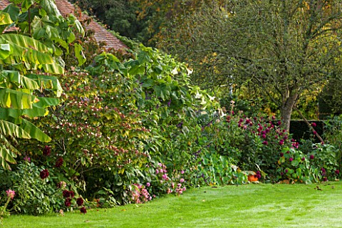 HOLE_PARK_KENT_TROPICAL_EXOTIC_BORDER_BESIDE_HOUSE_WITH_DAHLIAS_AND_WHITE_DATURA__COUNTRY_GARDEN_CLA