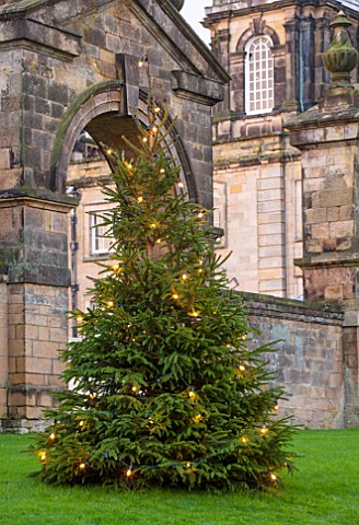 CASTLE_HOWARD_YORKSHIRE_CHRISTMAS__CHRISTMAS_TREE_IN_FRONT_OF_THE_HOUSE_ON_LAWN_WITH_LIGHTS__WINTER_