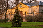 CASTLE HOWARD, YORKSHIRE: CHRISTMAS - CHRISTMAS TREE IN FRONT OF THE STABLE BLOCK ON LAWN WITH LIGHTS - WINTER, DECORATION, DECORATIVE, NOVEMBER