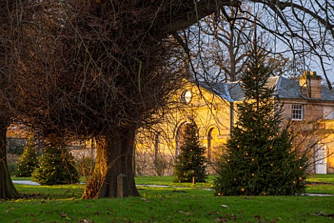 CASTLE_HOWARD_YORKSHIRE_CHRISTMAS__CHRISTMAS_TREE_IN_FRONT_OF_THE_STABLE_BLOCK_ON_LAWN_WITH_LIGHTS__