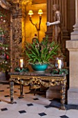 CASTLE HOWARD, YORKSHIRE: CHRISTMAS - ORCHID ON TABLE IN THE GREAT HALL - DECORATION, DECORATIVE, ORNAMENT, WINTER, BAUBLES, FESTIVE