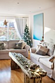 SALTWATER, NORFOLK : DESIGNER KAREN MOORE - CHRISTMAS, DECEMBER, WINTER - WHITE LIVING ROOM WITH ALUMINIUM PHOTOGRAPH BY HARRY CORY WRIGHT, SETTEE, WOODEN BENCH AND CHRISTMAS TREE