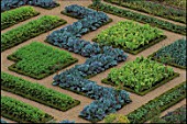 CABBAGES AND CHARD PLANTED IN PATTERNS IN THE GREAT POTAGER AT THE CHATEAU DE VILLANDRY  FRANCE/NEW SHOOTS