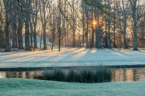 GREAT_FOSTERS_SURREY_SUNRISE_THROUGH_TREES_AND_SAXON_MOAT__WATER_COUNTRY_GARDEN_WINTER_FROST_JANUARY